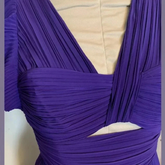 A.L.C. NWT Sorrento Accordion Pleated Midi Dress - Picture 7 of 10